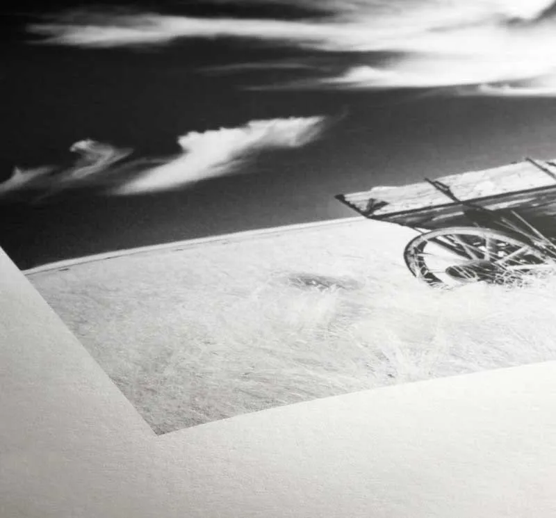 1030 Fine Art Print