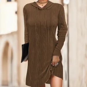 Autumn New Long-sleeved Hooded Vintage Solid Color Casual Elegant Dress