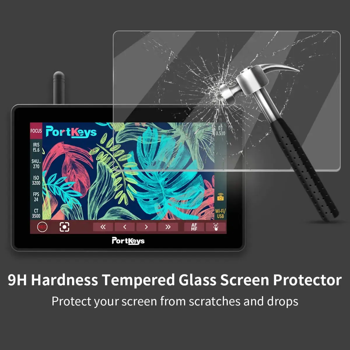 PortKeys 5.5" Tempered Glass Screen Protectors for BM5 III WR/LH5P (Pair)